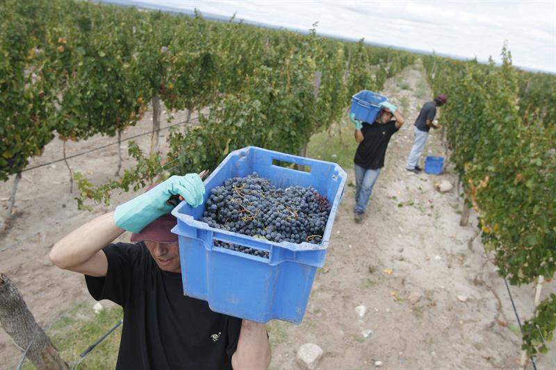  Guvernul argentinian renunÈ›Äƒ la majorarea impozitului pe vinuri È™i vinuri spumante
